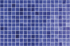 Nieve Azul Marino gloss