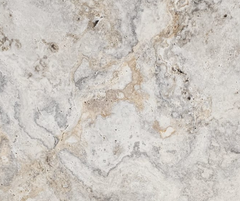 Oyster Grey Silver Travertine Pavers