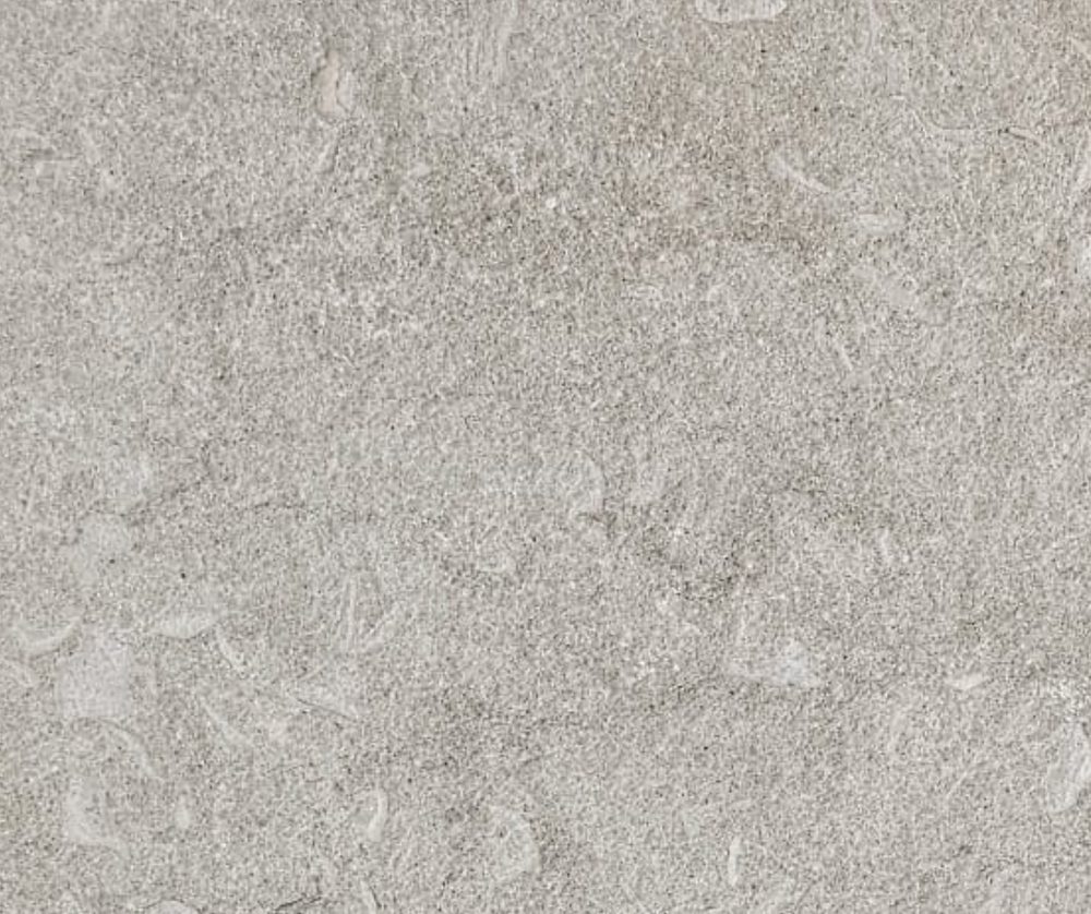 Seagrass Limestone Pavers