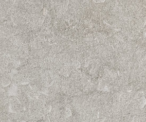 Seagrass Limestone Pavers