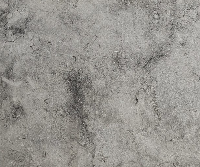Coastal Grey Limestone Pavers displayed as an outdoor paving option — Natural Stone Paving