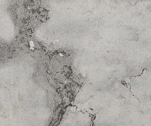 Coastal Grey Limestone Pavers