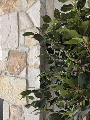 Sahara Stone Cladding